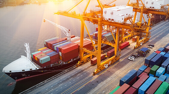 Tort Insurance Law Featured